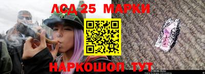 амф Коммунар
