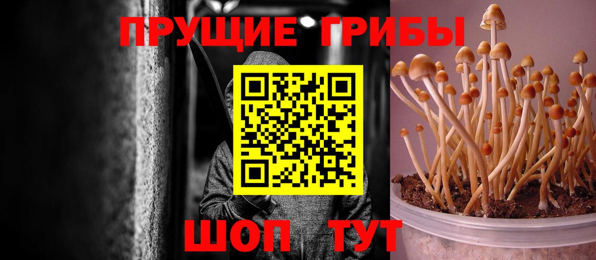 Галлюциногенные грибы GOLDEN TEACHER Кимры